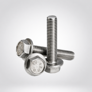 Hexagon Head Bolts