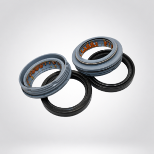 Oil Seal Kit
