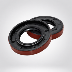 Oil Seal Skf
