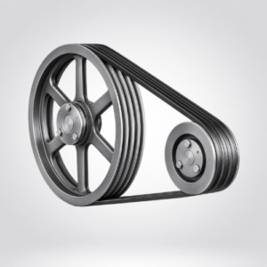 V Belt