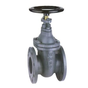 Cast Iron Gate Valve