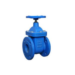 DIN Gate Valve