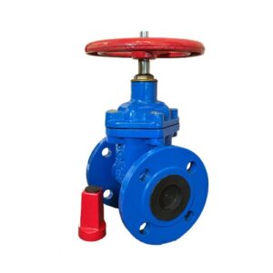 Gate Valves