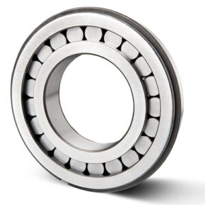Heavy Duty Cylindrical Roller Bearings