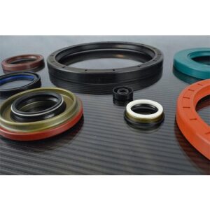 Industrial Oil Seals