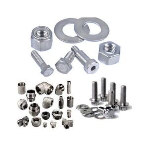 Stainless Steel Nuts